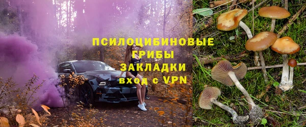 винт Вяземский
