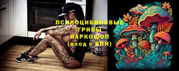 винт Вяземский